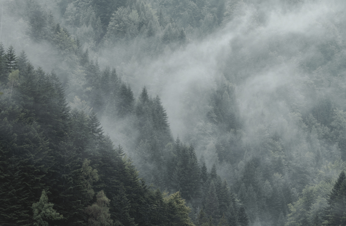 Misty mountain landscape